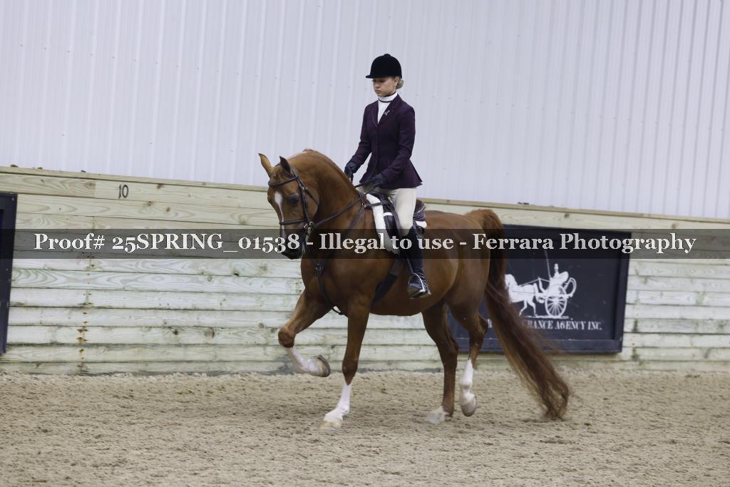 Proof 25SPRING_01538
