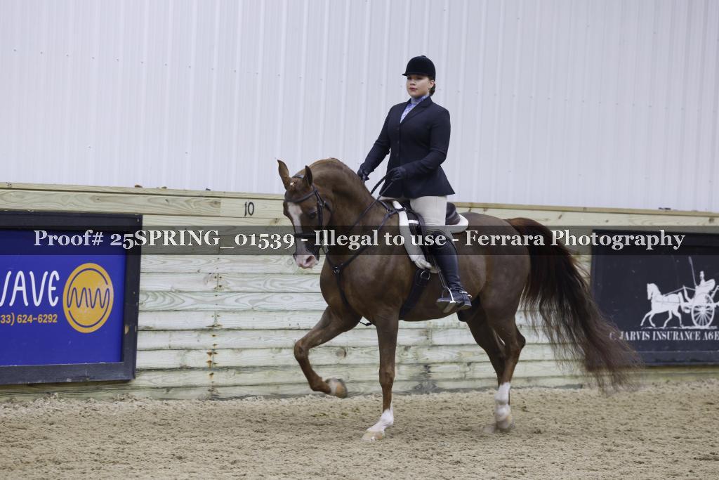 Proof 25SPRING_01539