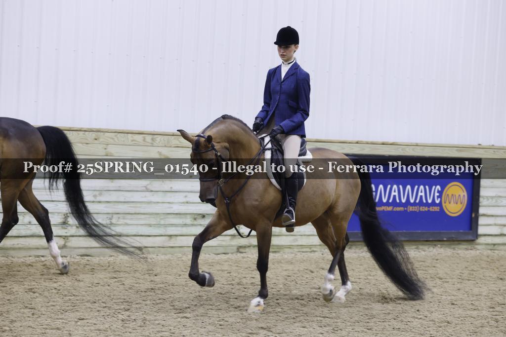Proof 25SPRING_01540