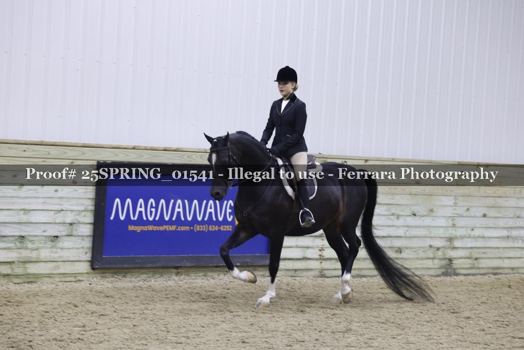 Proof 25SPRING_01541