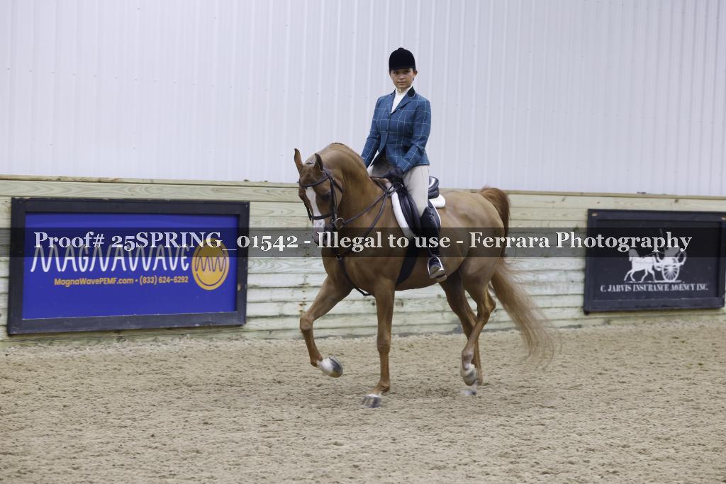 Proof 25SPRING_01542