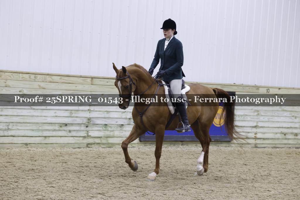 Proof 25SPRING_01543