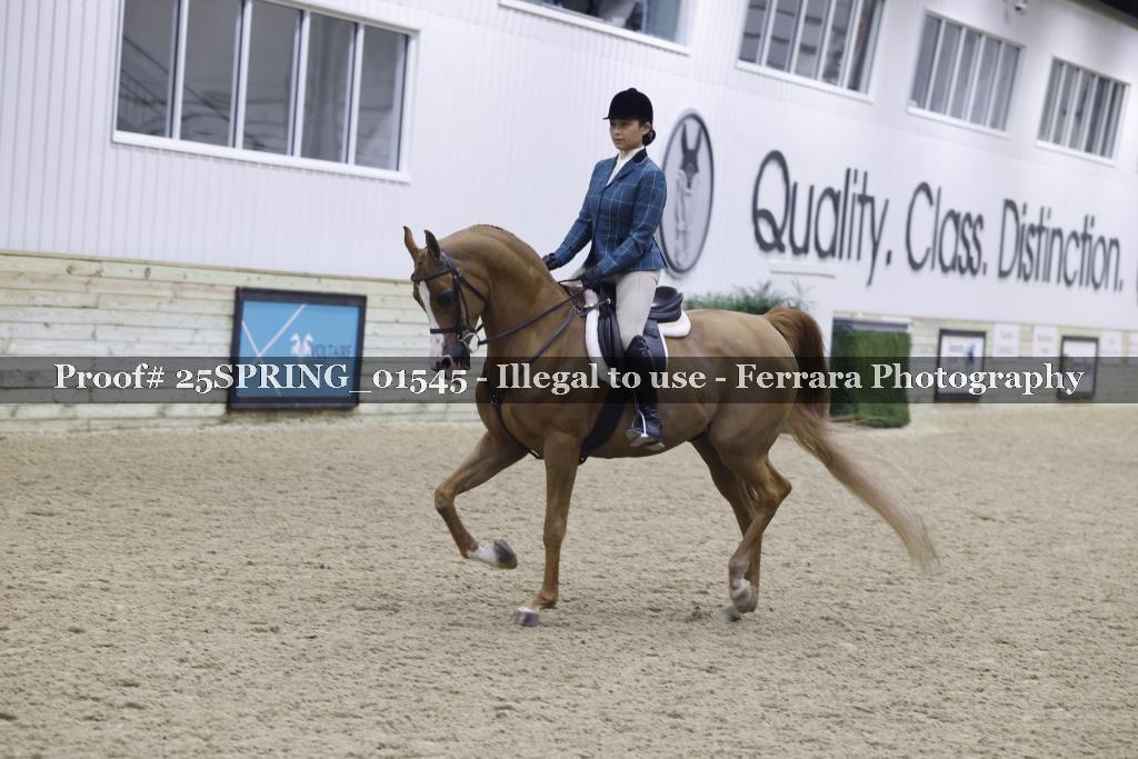 Proof 25SPRING_01545