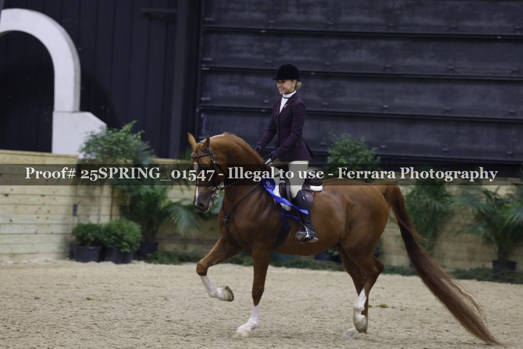 Proof 25SPRING_01547