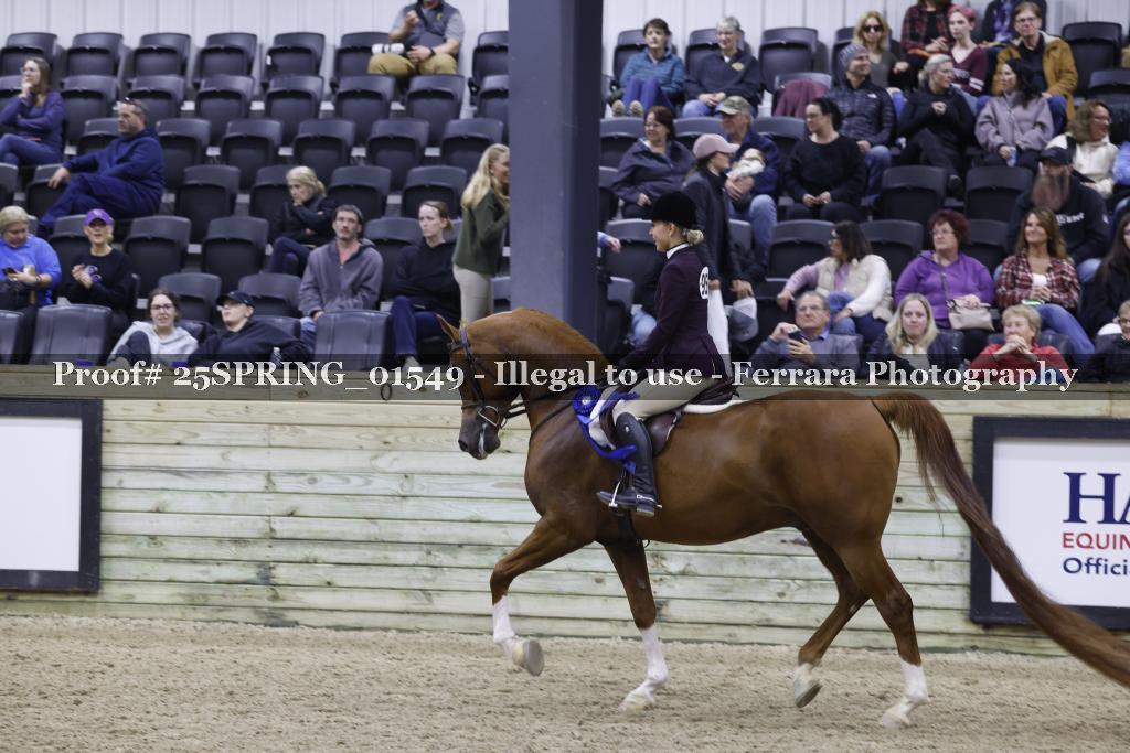 Proof 25SPRING_01549