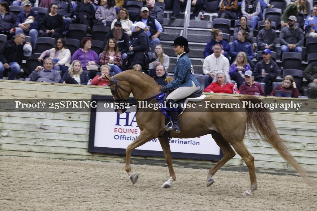 Proof 25SPRING_01552