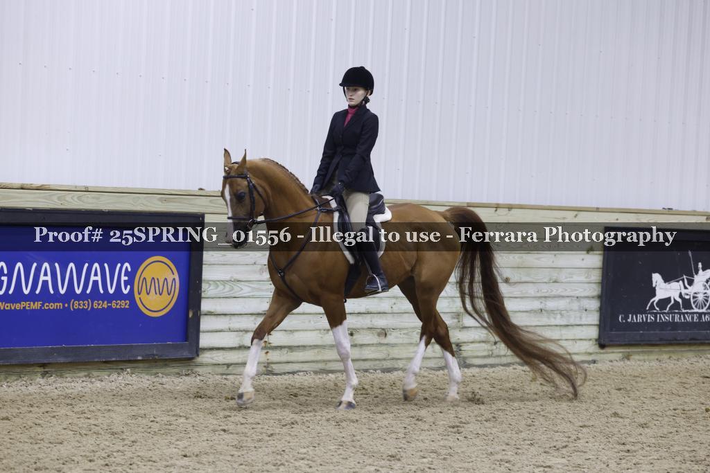 Proof 25SPRING_01556