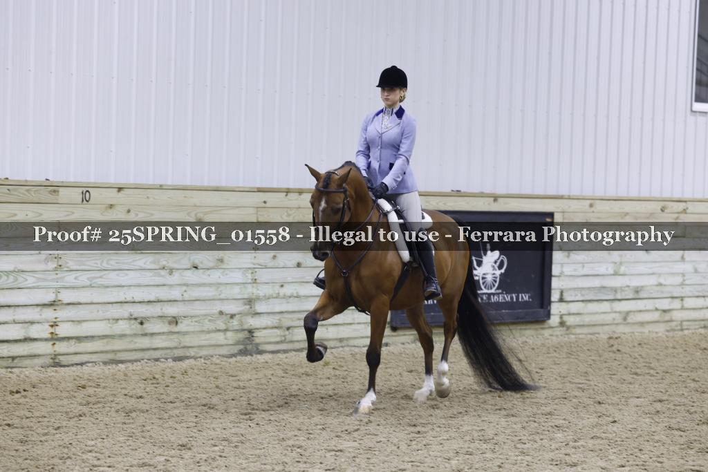 Proof 25SPRING_01558