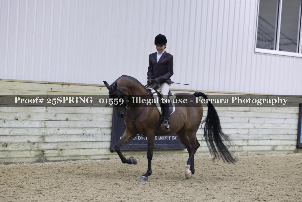 Proof 25SPRING_01559