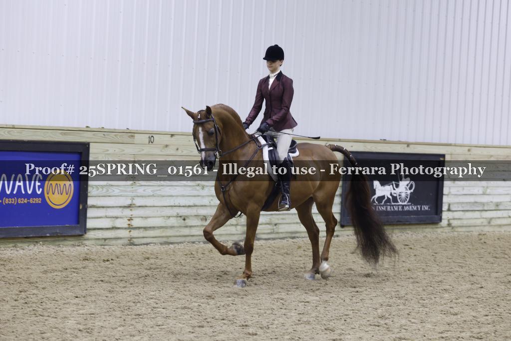 Proof 25SPRING_01561