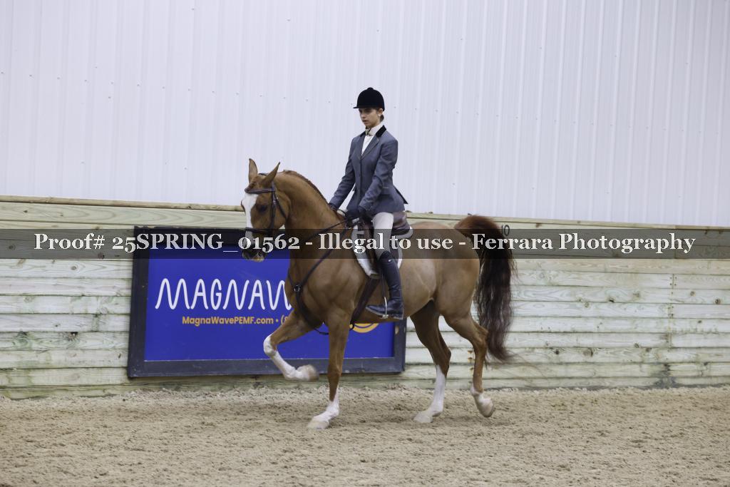 Proof 25SPRING_01562