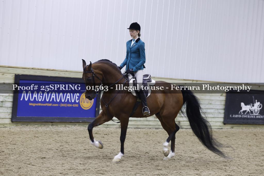 Proof 25SPRING_01563
