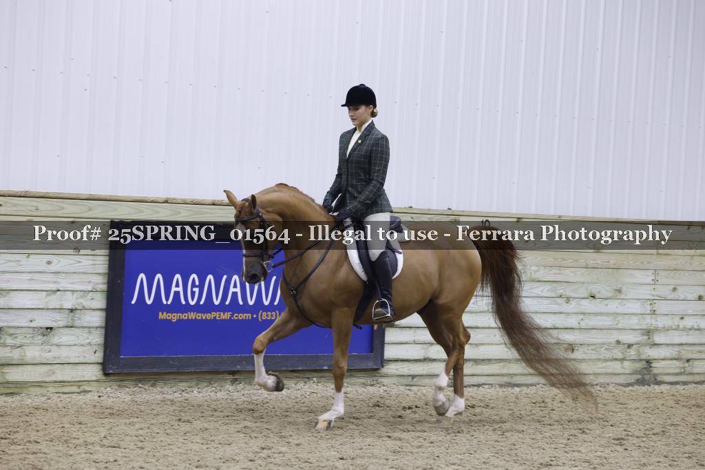 Proof 25SPRING_01564