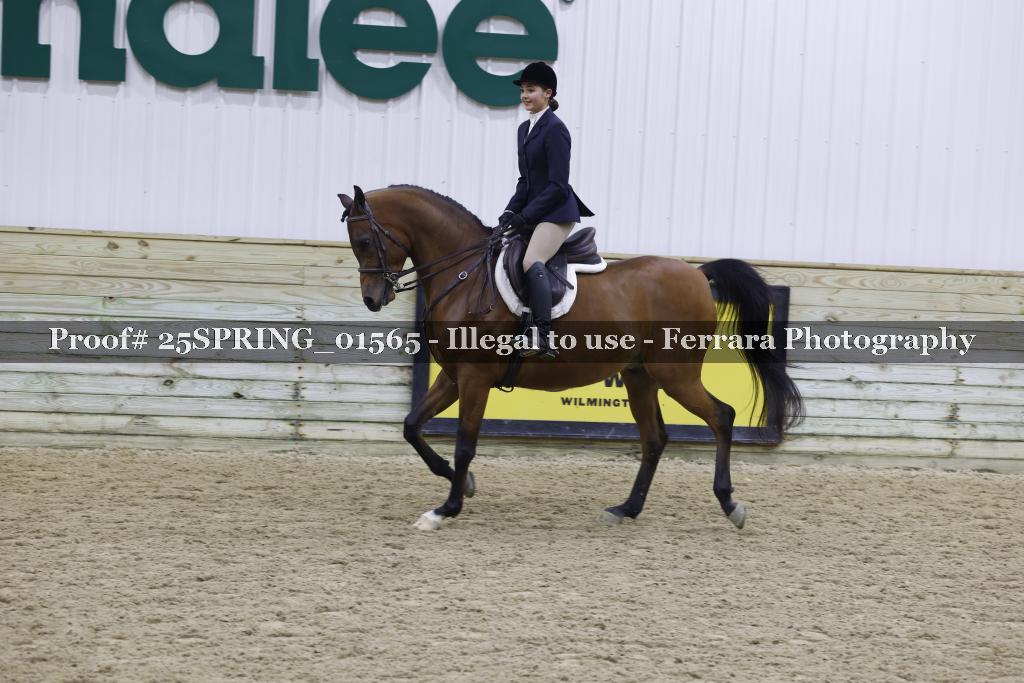 Proof 25SPRING_01565