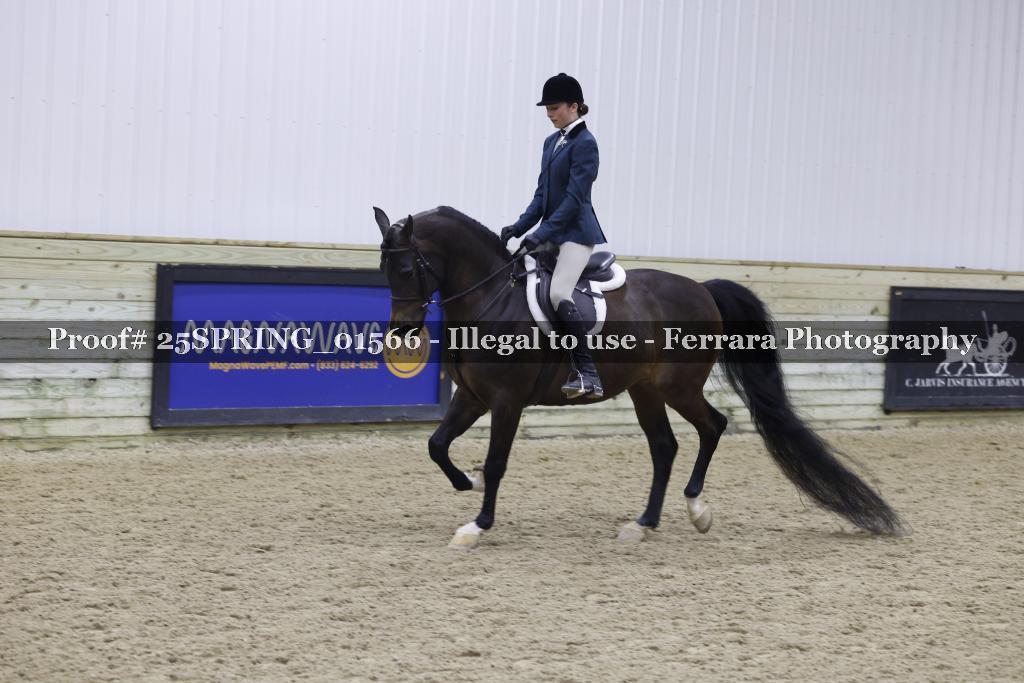 Proof 25SPRING_01566