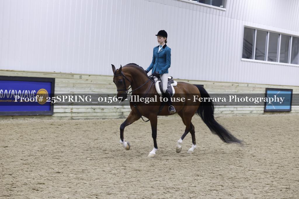 Proof 25SPRING_01567