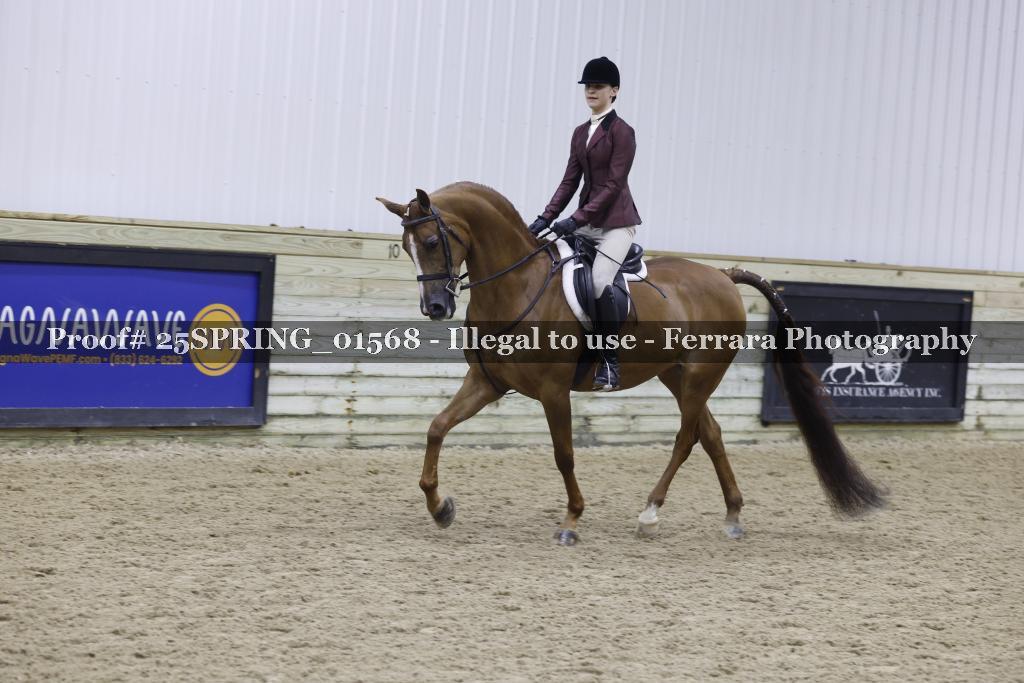 Proof 25SPRING_01568