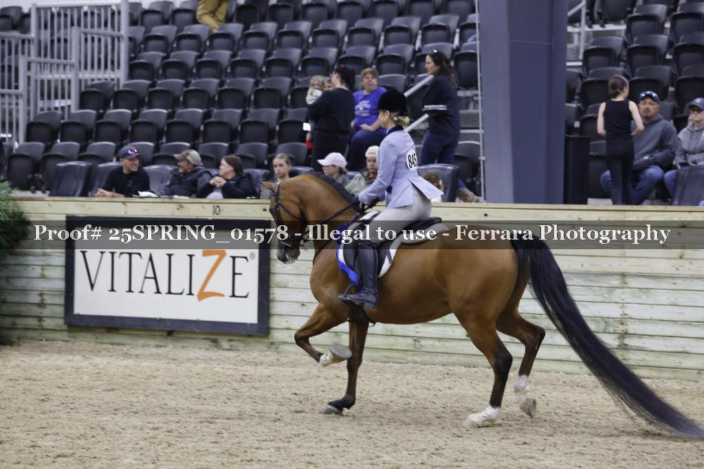 Proof 25SPRING_01578