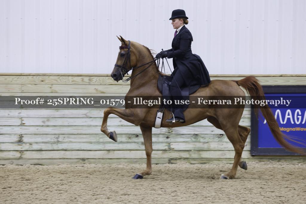 Proof 25SPRING_01579
