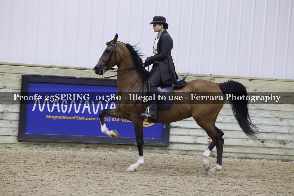 Proof 25SPRING_01580