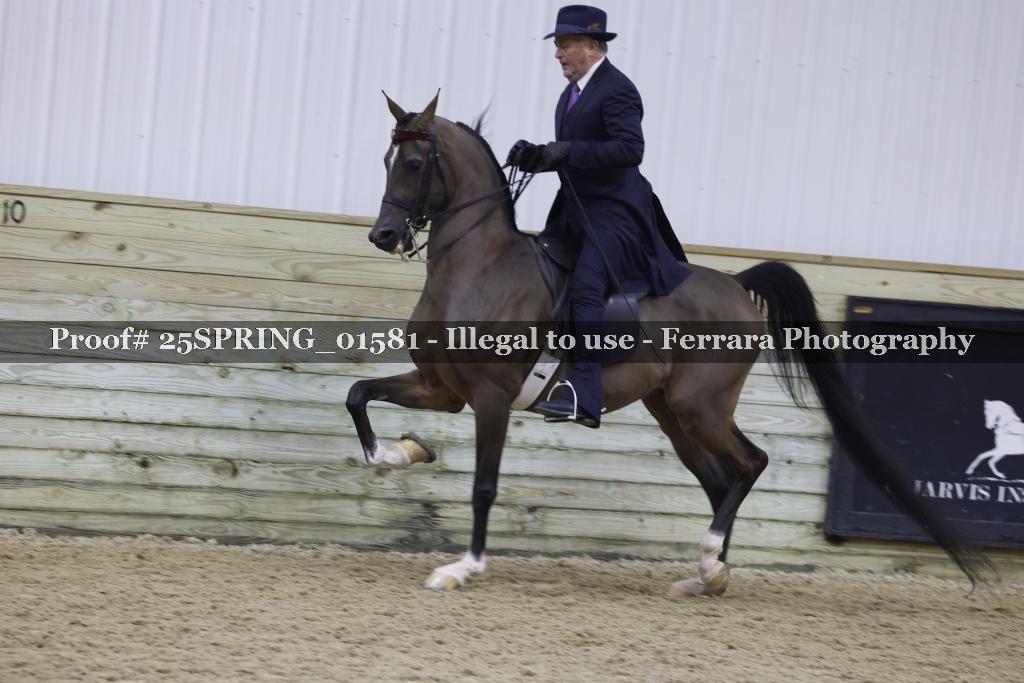 Proof 25SPRING_01581