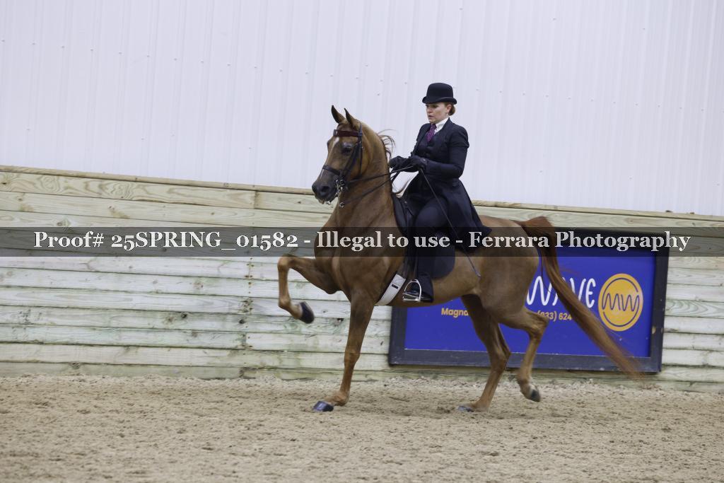 Proof 25SPRING_01582