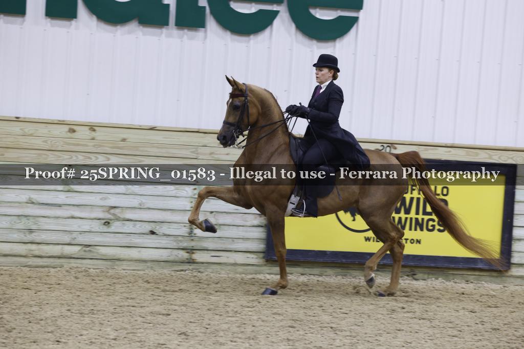 Proof 25SPRING_01583