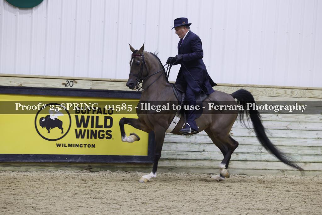 Proof 25SPRING_01585