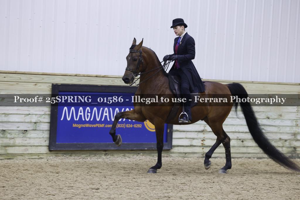Proof 25SPRING_01586