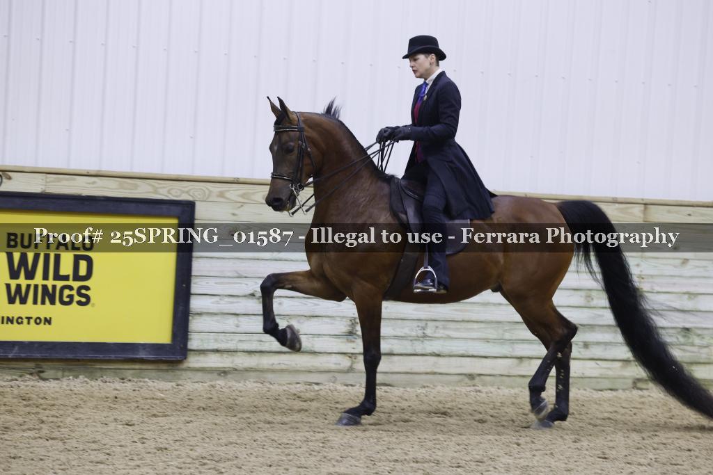Proof 25SPRING_01587