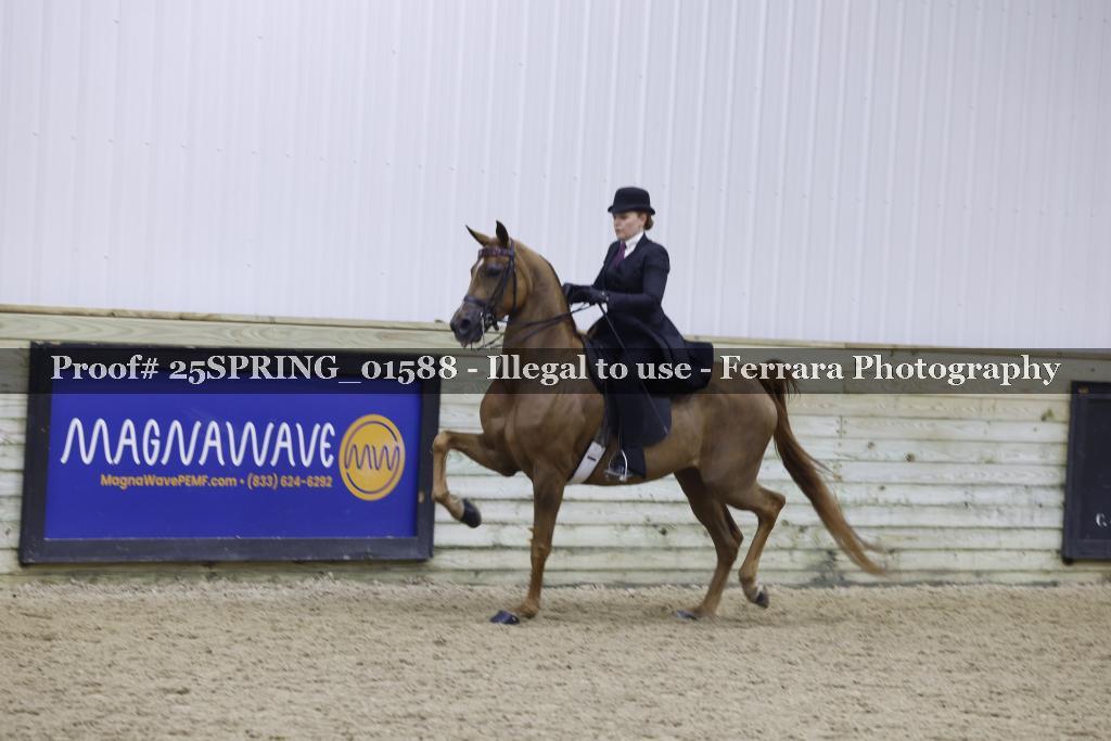 Proof 25SPRING_01588
