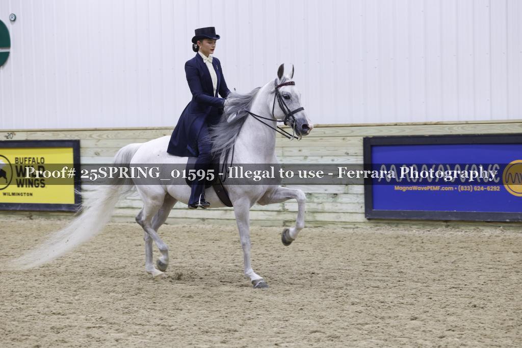 Proof 25SPRING_01595