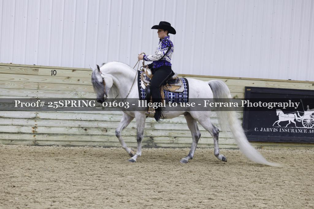 Proof 25SPRING_01603