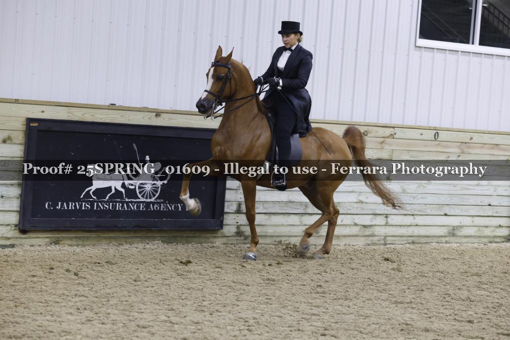 Proof 25SPRING_01609