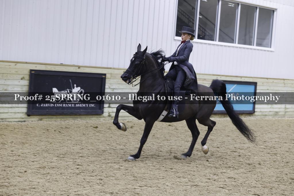 Proof 25SPRING_01610