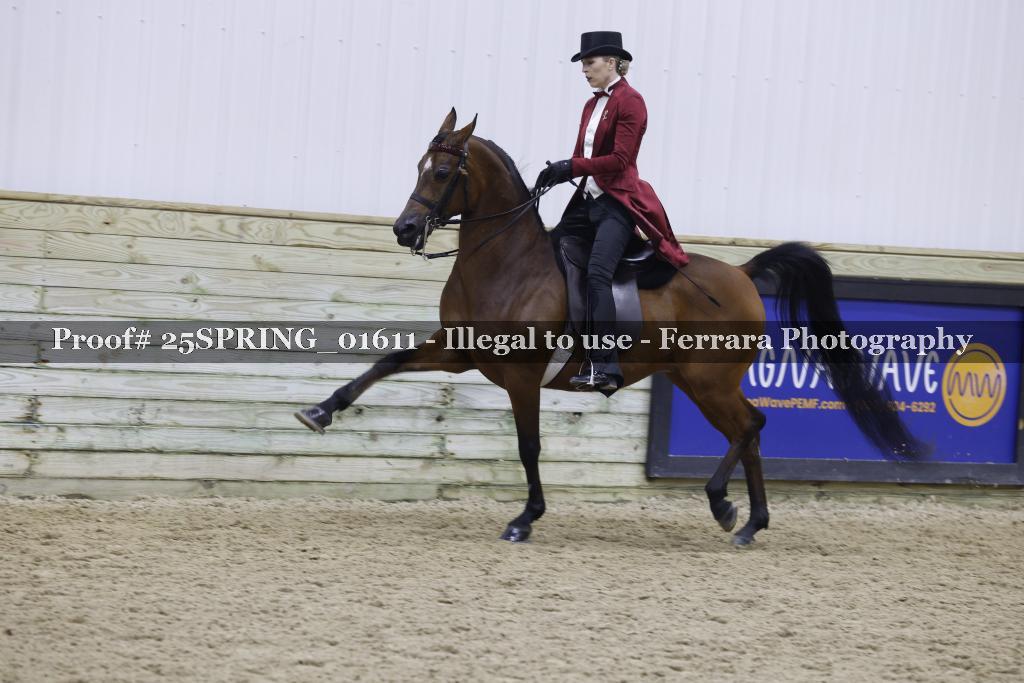 Proof 25SPRING_01611