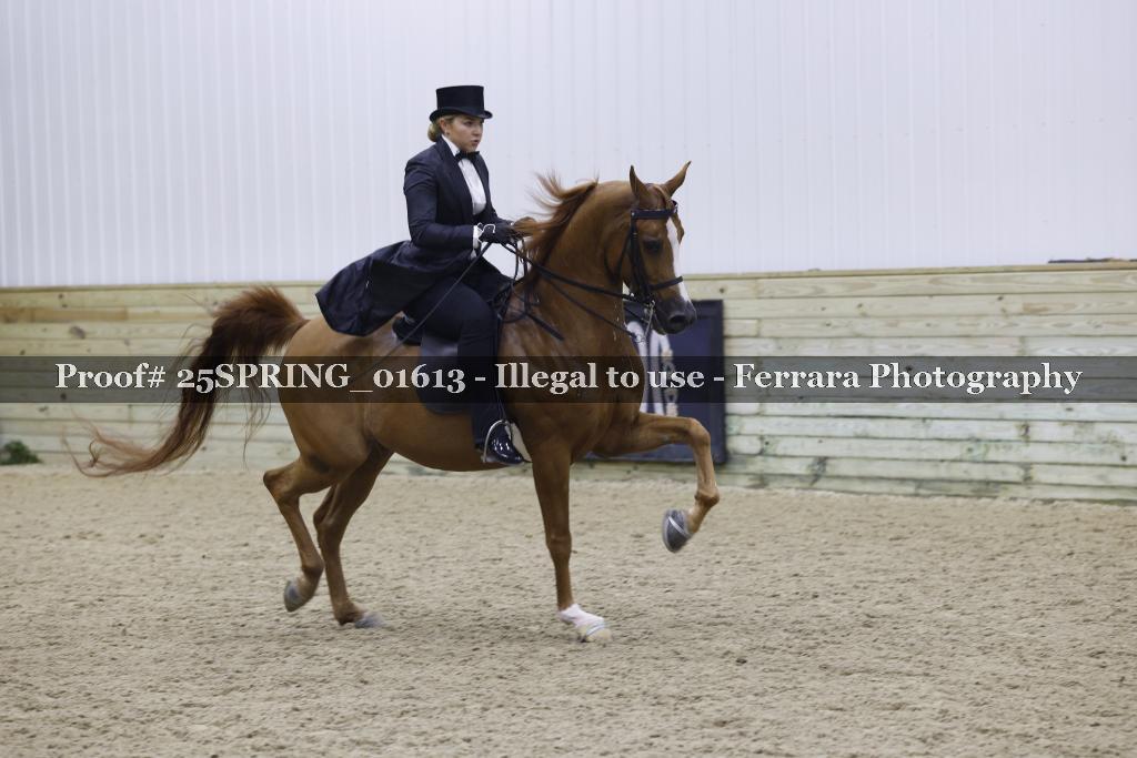 Proof 25SPRING_01613