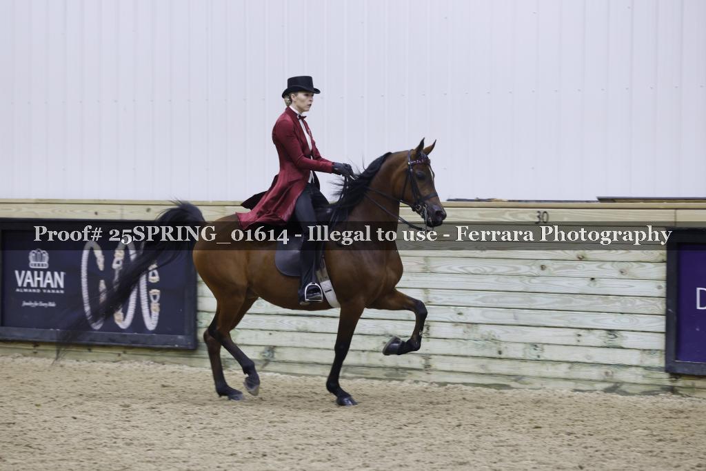 Proof 25SPRING_01614