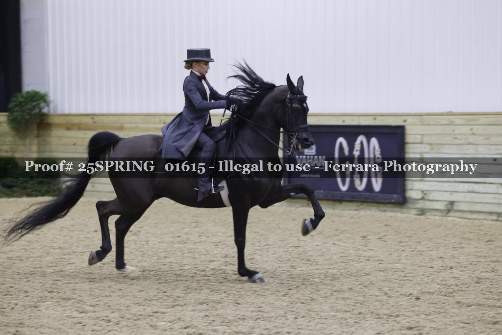Proof 25SPRING_01615