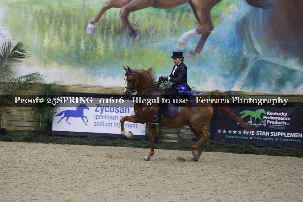 Proof 25SPRING_01616