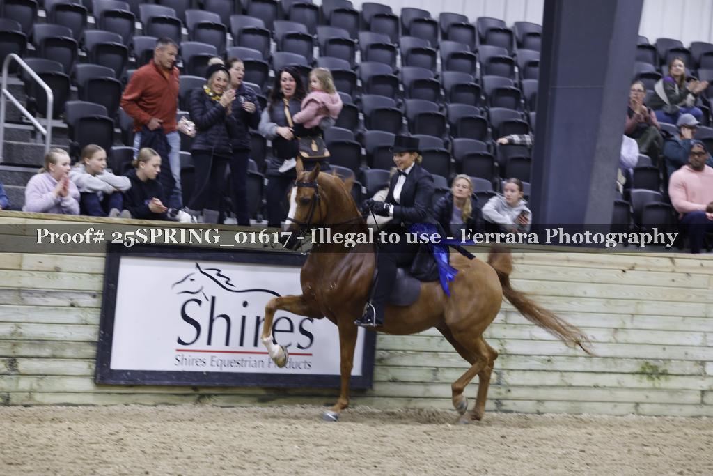 Proof 25SPRING_01617