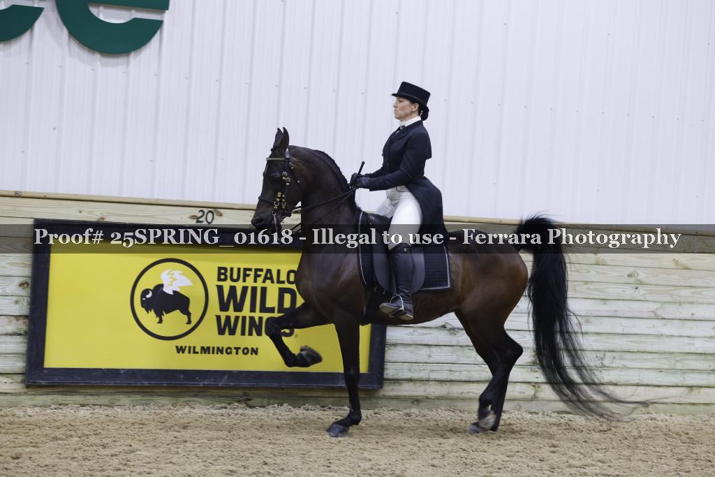 Proof 25SPRING_01618