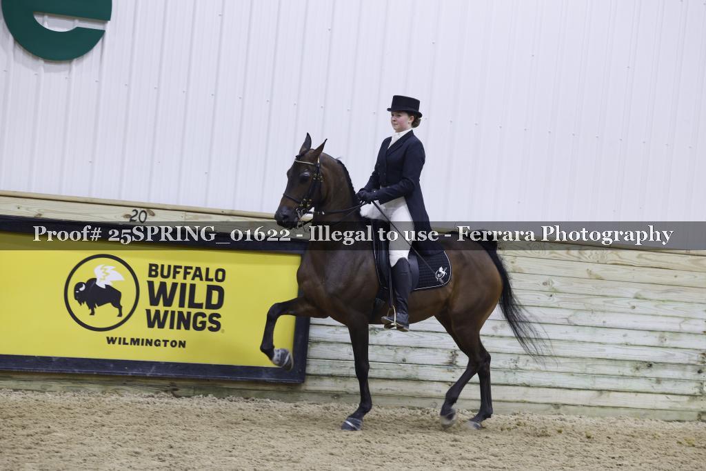 Proof 25SPRING_01622
