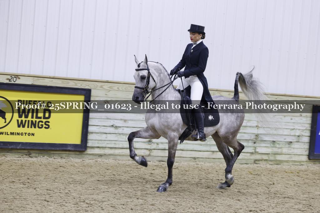 Proof 25SPRING_01623