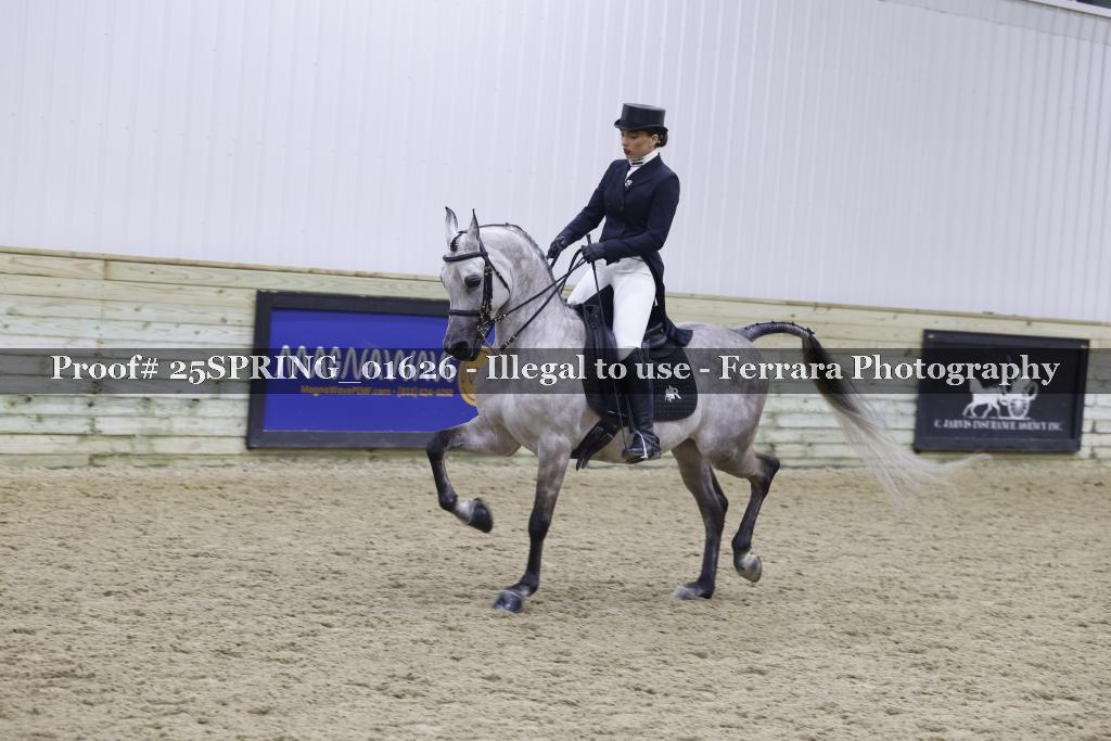 Proof 25SPRING_01626