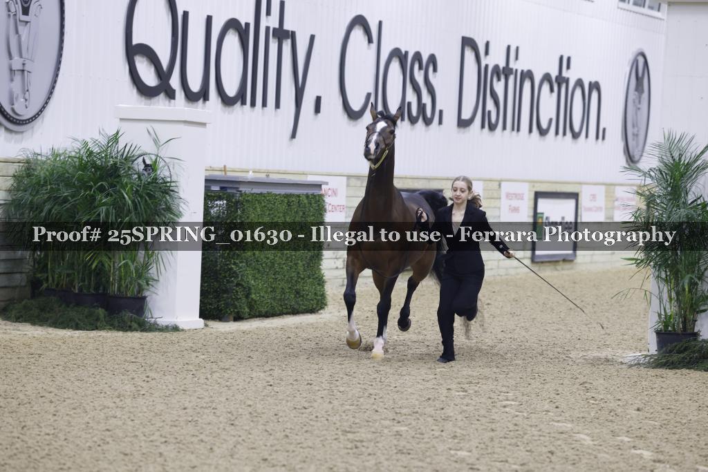 Proof 25SPRING_01630
