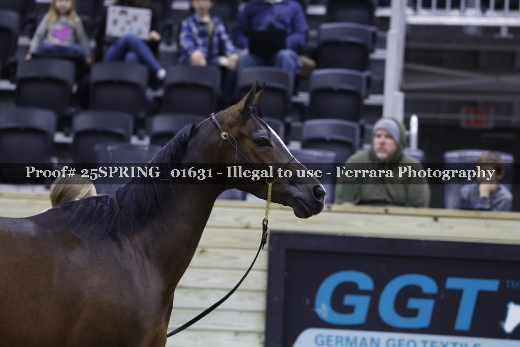 Proof 25SPRING_01631