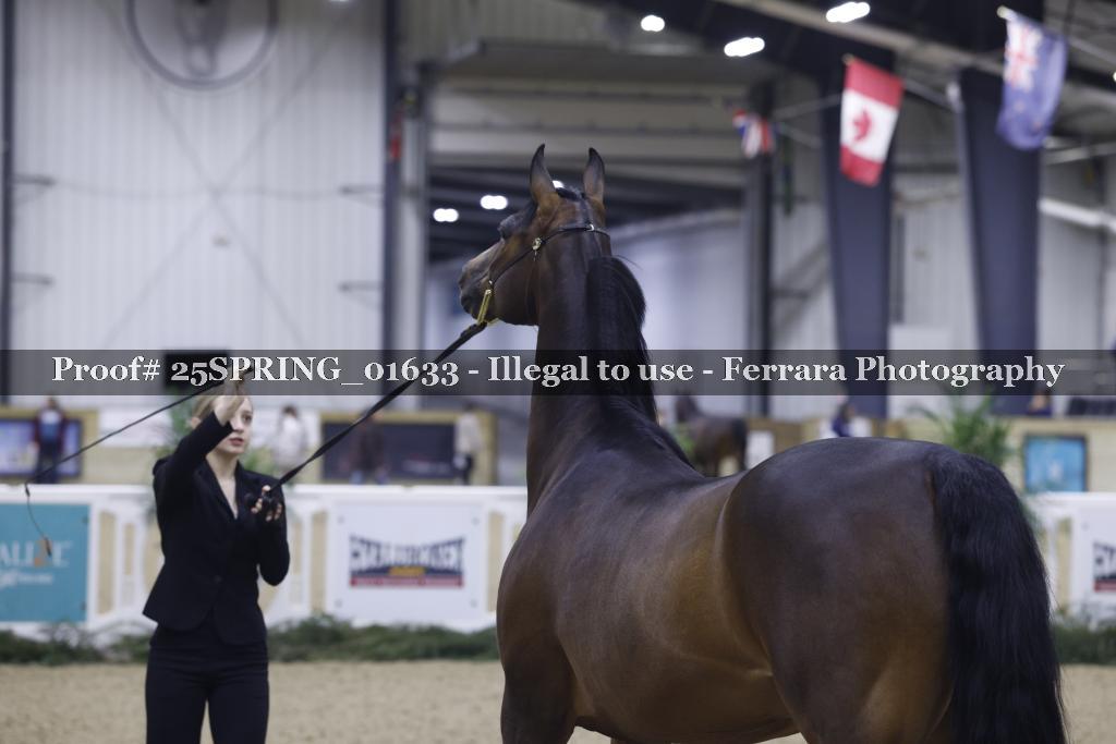 Proof 25SPRING_01633