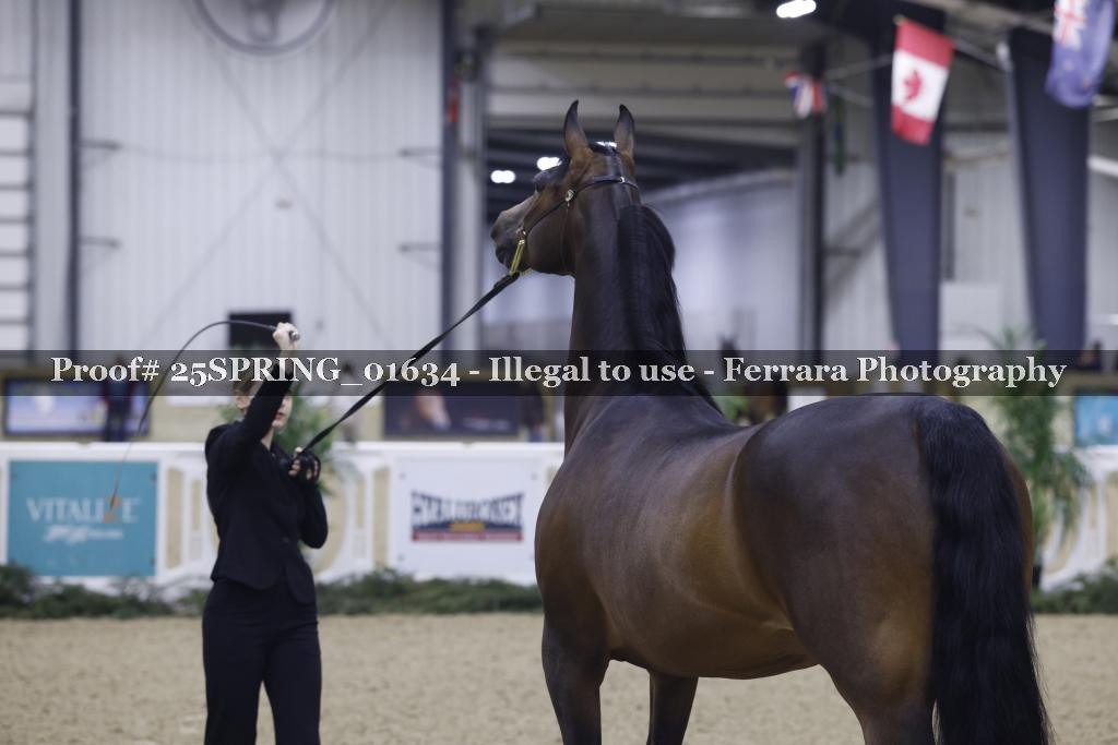 Proof 25SPRING_01634