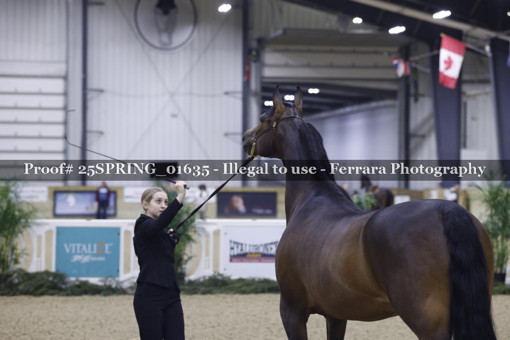 Proof 25SPRING_01635
